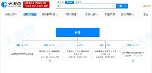 超級丹 林丹宣布退役 關聯5家公司其中1家已注銷